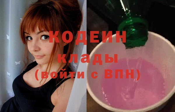 соль ск Вяземский