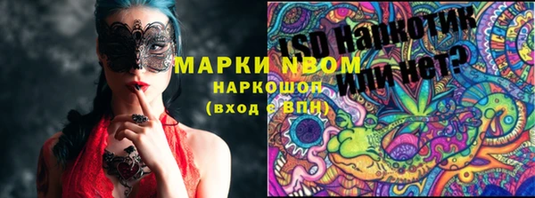соль ск Вяземский