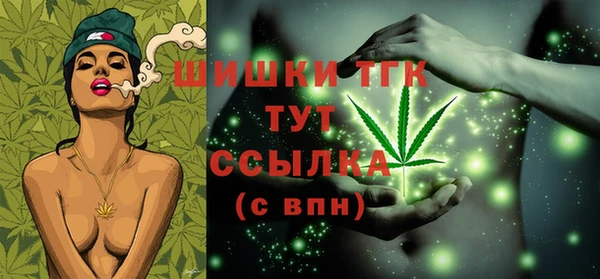 соль ск Вяземский