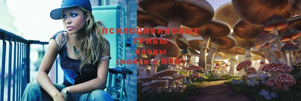 ALPHA PVP Вязники