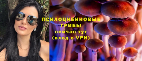 таблы Вязьма